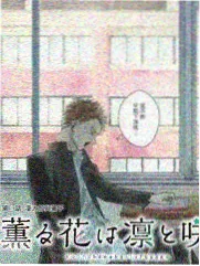 音乐综艺声音的旅行在线观看更新